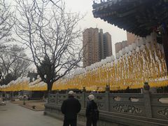 -护国法轮寺