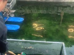 -京北渔家傲