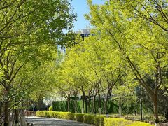 -大兴滨河森林公园