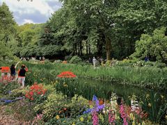 -上海共青森林公园