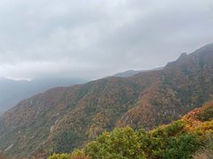 -白草畔自然风景区