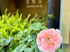 -厕所串串(文殊院店)