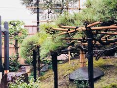 -中村藤吉(本店)