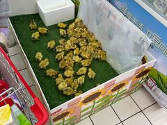 -大润发(花雨店)