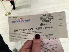 -东京塔海贼王主题公园