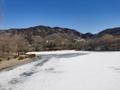 -国家植物园南园