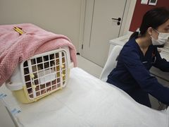 -御宝贝24h宠物医院·转诊中心·CT核磁血透中心(厦门总院)