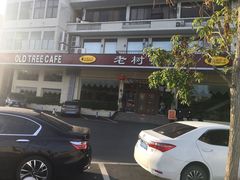 -OLD TREE老树咖啡·西餐厅(台山人工湖店)