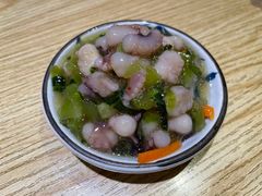 芥末章鱼-爱米粒家