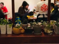 -铃木食堂(帽儿胡同店)