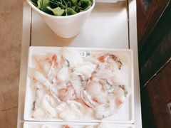 -鱼粤鲜淘米捞·中山脆肉鲩火锅(悦湖会店)