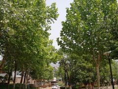 -静之湖湖畔餐厅