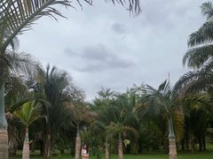 -中国科学院西双版纳热带植物园