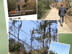 -青龙山国家森林公园