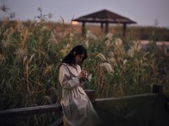 -太湖湖滨国家湿地公园-停车场