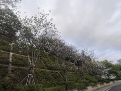 -小南山公园
