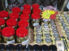 -苏州市吴中区光福窑上花果蜜饯厂