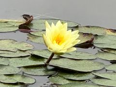 -白鹭湾湿地公园