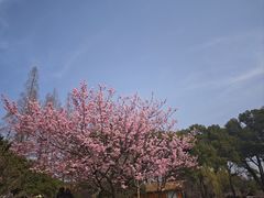 -无锡梅园公园
