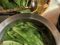 -佬肥猫(国华广场店)