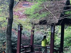 -杭州半山国家森林公园