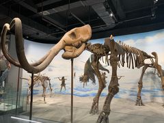 -辽宁古生物博物馆