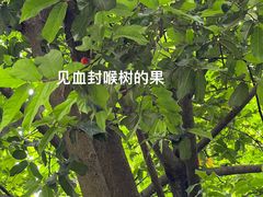 -广州神农草堂中医药博物馆