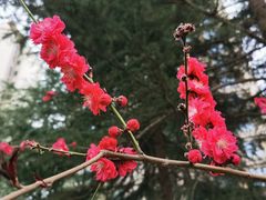 -木塔寺遗址生态公园