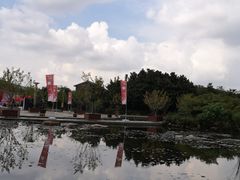 -白马涧龙池景区