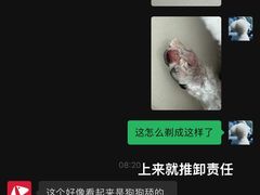 -PETKIT小佩宠物·低压洗护(国顺东路店)