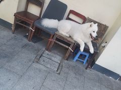 -徐家汇源景区-衡山坊
