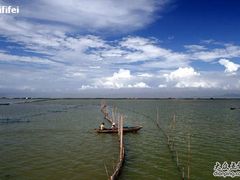 -大湾区中央湿地公园-十九涌