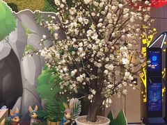 -汤连得温泉馆(宝山店)