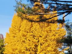 -北京动物园-畅观楼