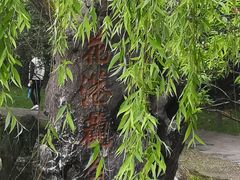 -西湖外事游船(花港观鱼码头)