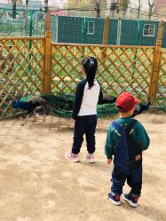 -萌宠亲子动物乐园(槐房万达店)