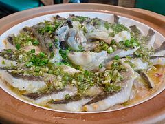藤椒泉水鲟龙鱼-雀蓝川菜(星悦汇店)