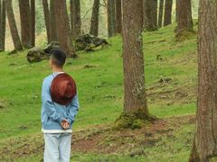 -硗碛藏寨·神木垒景区