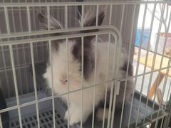 -小意思咖啡店(草桥店)