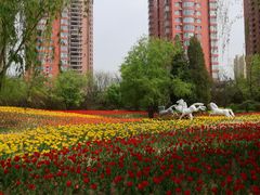 -迎泽公园