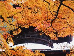 -常寂光寺