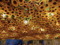 -天津梵高星空艺术馆(天河城旗舰店)