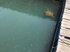 -海上驿站渔家菜馆