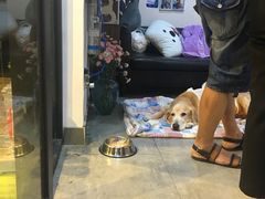 -严国平动物医院(德政总院)