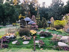 -上海共青森林公园