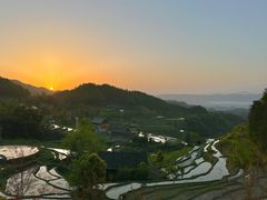 -紫鹊界梯田景区