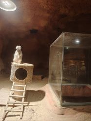 -酷嗒动物文化乐园(cutezoo西溪乐天城店)