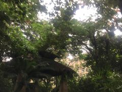 -丰泰花园酒店热矿泉