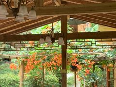 -生态园山庄(森林公园店)