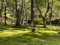 -西芳寺(苔寺)